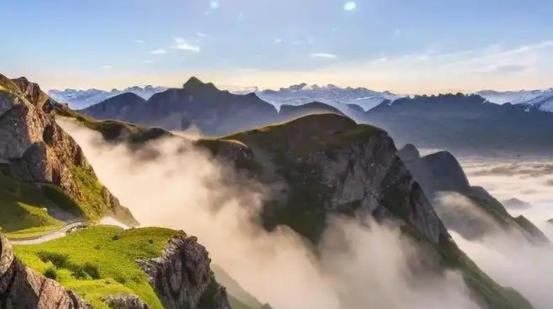 广东绿境园林景观工程有限公司轮播图1